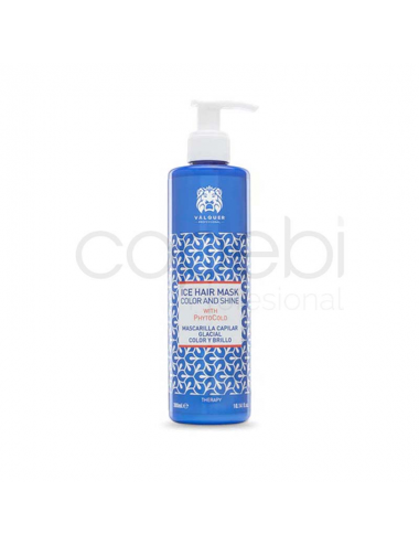 Mascarilla Color y Brillo 300 ml